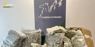 Sequestrati a Genova oltre 3 kg di marijuana provenienti dalla Spagna