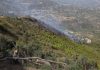 21 incendi boschivi registrati nelle ultime 24 ore in Algeria