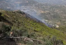 21 incendi boschivi registrati nelle ultime 24 ore in Algeria