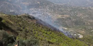 الجزائر تسجل 21 حريق غابات خلال 24 ساعة