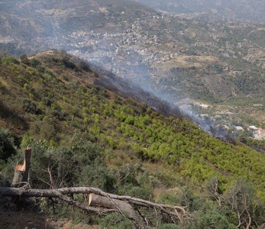الجزائر تسجل 21 حريق غابات خلال 24 ساعة
