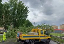 Anas, a causa di un albero caduto è chiusa al traffico carreggiata in direzione Lecco della statale 36