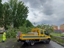 Anas, a causa di un albero caduto è chiusa al traffico carreggiata in direzione Lecco della statale 36