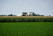 Bettoni “Energie rinnovabili sempre più centrali per l’agricoltura”