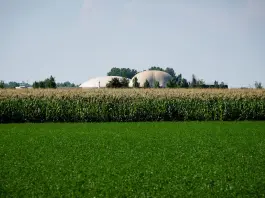 Bettoni “Energie rinnovabili sempre più centrali per l’agricoltura”
