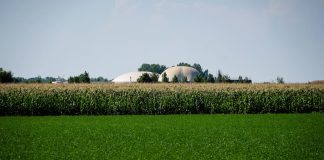 Bettoni “Energie rinnovabili sempre più centrali per l’agricoltura”