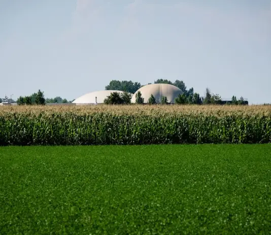 Bettoni “Energie rinnovabili sempre più centrali per l’agricoltura”