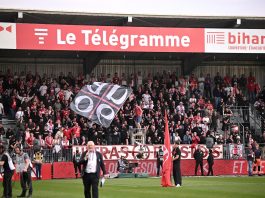 Julien Laucher named Brest manager after the death of Eric Roy