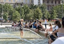 Caldo record, OMS Europa “Prepararsi a estati sempre più difficili, il 6 luglio riunione in Ue”