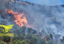 Giornata di emergenza incendi in Sardegna, Canadair e Super Puma in azione