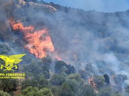 Giornata di emergenza incendi in Sardegna, Canadair e Super Puma in azione