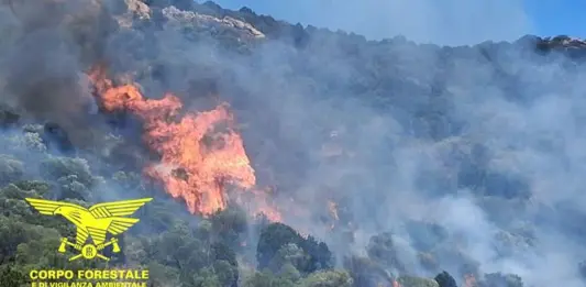 Giornata di emergenza incendi in Sardegna, Canadair e Super Puma in azione