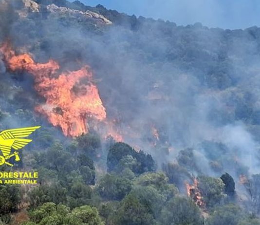 Giornata di emergenza incendi in Sardegna, Canadair e Super Puma in azione