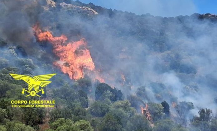 Corpo-Forestale-Sardegna