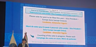 Energia idroelettrica e ingegneria delle dighe, Antonella Frigerio eletta vicepresidente ICOLD in rappresentanza dell’Europa