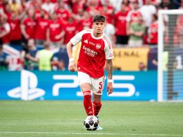 Arsenal complete permanent signing of Hincapie from Bayer Leverkusen