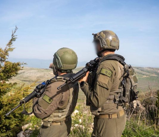 Libano, media “Fragile calma, residenti iniziano a tornare al Sud”. Israele “L’Idf non si ritirerà”