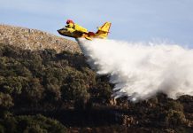 La Regione stanzia sei milioni per la protezione e la salvaguardia delle riserve naturali dagli incendi boschivi