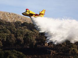 La Regione stanzia sei milioni per la protezione e la salvaguardia delle riserve naturali dagli incendi boschivi