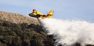 La Regione stanzia sei milioni per la protezione e la salvaguardia delle riserve naturali dagli incendi boschivi