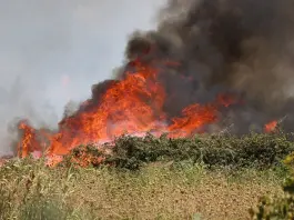 Tunisia, due aerei militari impegnati per contenere l’incendio su monte Mergueb