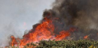 Un incendio devasta Montagna Grande nel Trapanese, in tre giorni bruciati 600 ettari di bosco