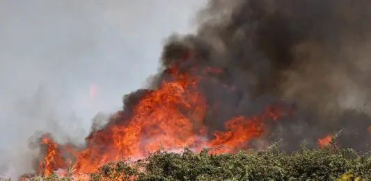 Tunisia, due aerei militari impegnati per contenere l’incendio su monte Mergueb