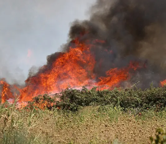 Un incendio devasta Montagna Grande nel Trapanese, in tre giorni bruciati 600 ettari di bosco