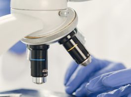 ENEA brevetta un materiale high-tech per la transizione energetica e l’utilizzo di fonti rinnovabili