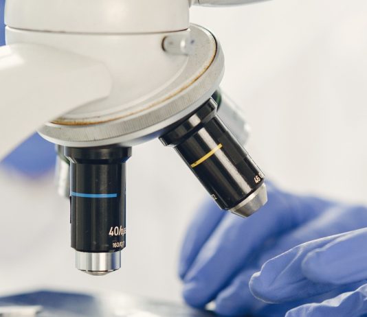 ENEA brevetta un materiale high-tech per la transizione energetica e l’utilizzo di fonti rinnovabili