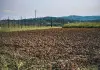 Bracciante muore mentre raccoglie angurie nel Mantovano, al vaglio l’ipotesi malore legato caldo