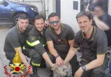 Incendio in una palazzina nel Catanese, salvate due persone e una cagnolina