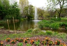 Crisi climatica, gli orti botanici come piattaforme educative per la consapevolezza ambientale degli studenti