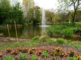 Crisi climatica, gli orti botanici come piattaforme educative per la consapevolezza ambientale degli studenti