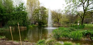 Crisi climatica, gli orti botanici come piattaforme educative per la consapevolezza ambientale degli studenti
