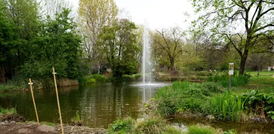 Crisi climatica, gli orti botanici come piattaforme educative per la consapevolezza ambientale degli studenti