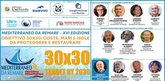 XVI edizione di “Mediterraneo da remare”, il 15 giugno l’evento di lancio
