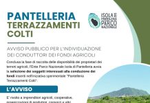 Dall’Ente Parco Nazionale Isola di Pantelleria un progetto per rivitalizzare la tradizione agricola locale