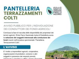 Dall’Ente Parco Nazionale Isola di Pantelleria un progetto per rivitalizzare la tradizione agricola locale