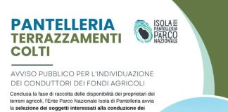 Dall’Ente Parco Nazionale Isola di Pantelleria un progetto per rivitalizzare la tradizione agricola locale