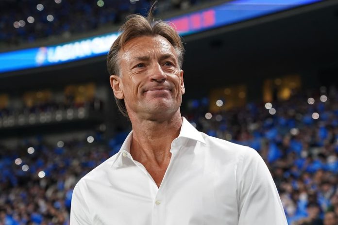Renard (1)