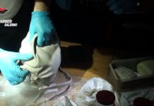 Detenzione di droga ai fini di spaccio, un arresto a Salerno