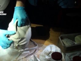 Detenzione di droga ai fini di spaccio, un arresto a Salerno