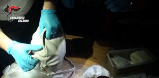 Detenzione di droga ai fini di spaccio, un arresto a Salerno