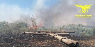 Per domenica 21 giugno confermato il livello “Medio” per il pericolo di incendio nella zona di Cagliari