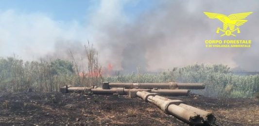 Per domenica 21 giugno confermato il livello “Medio” per il pericolo di incendio nella zona di Cagliari