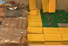Maxi sequestro di droga nel Milanese, arrestato 42enne con 45 kg di cocaina / Video
