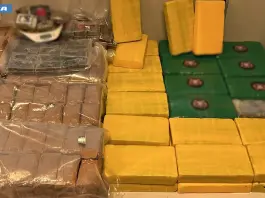 Maxi sequestro di droga nel Milanese, arrestato 42enne con 45 kg di cocaina / Video