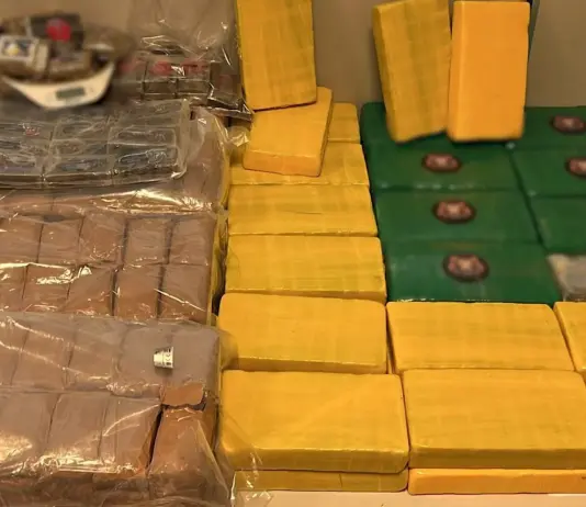 Maxi sequestro di droga nel Milanese, arrestato 42enne con 45 kg di cocaina / Video