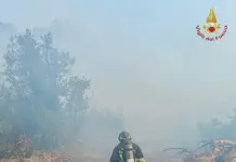 Incendio di vegetazione alle porte di Roma, evacuate alcune abitazioni a Castel Porziano